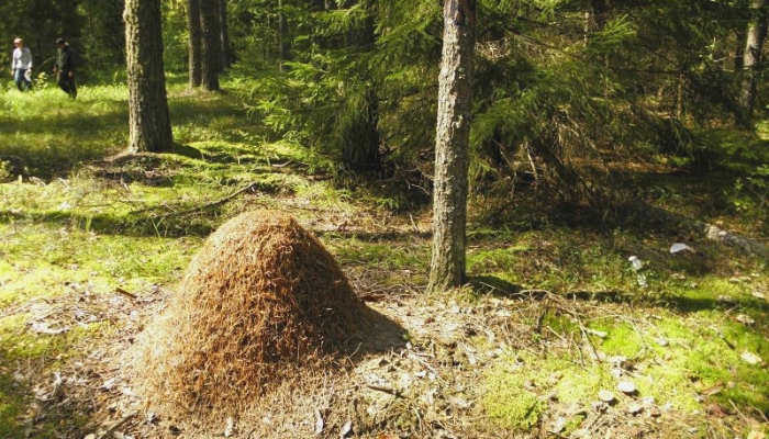 Кофейный столик в зоне отдыха