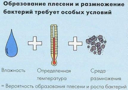 Условия для появления плесени