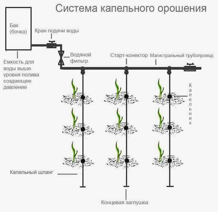 Пример системы капельного орошения