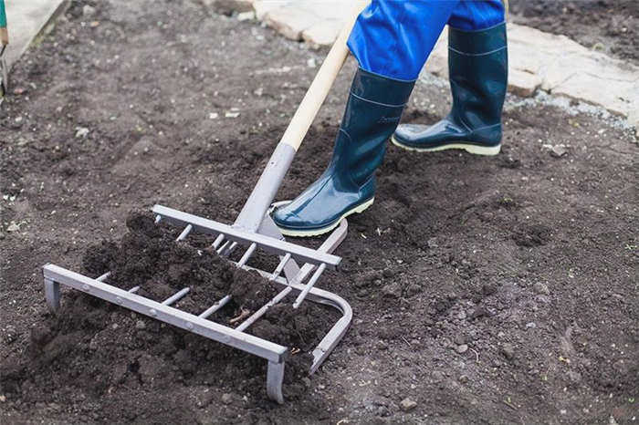 лёгкая работа