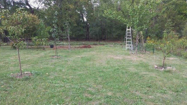 Варианты ландшафтного дизайна участка загородного дома