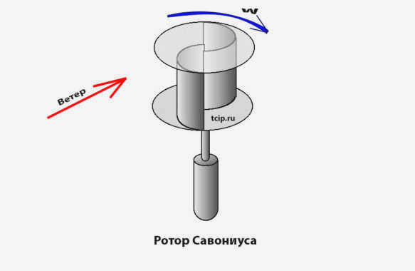 Ротор Савония