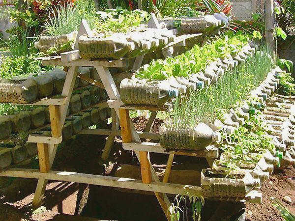 Использование пластиковых бутылок в саду