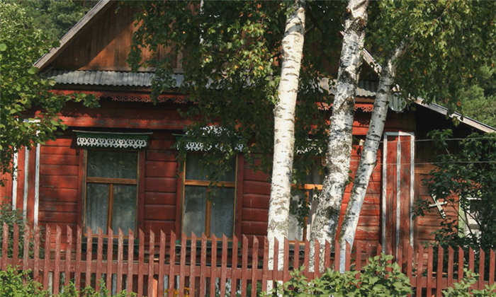 5 деревьев-амулетов, которые наши предки всегда сажали возле своих домов