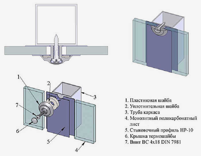 scale_1200 (5).jpg