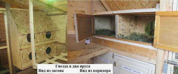 Гнездовые ящики с дверью сзади
