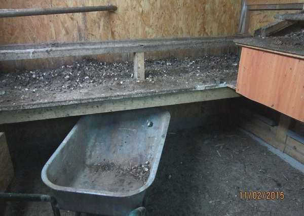 Планировка птичника