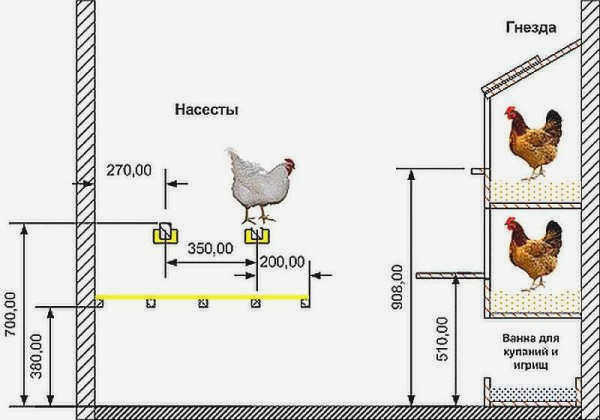 Внутренняя отделка птичника: рекомендуемые размеры 