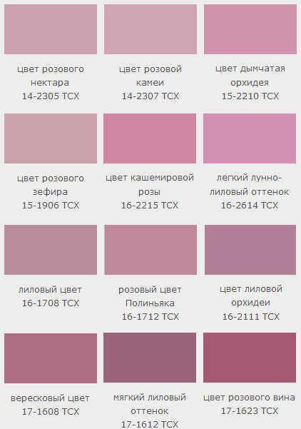 Цвета фиолетового