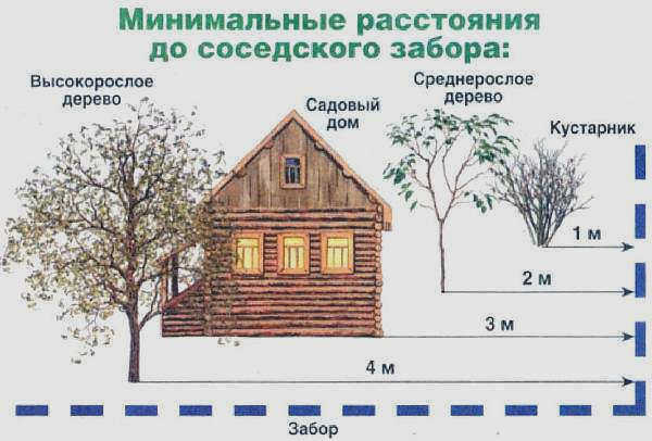 На дачном участке