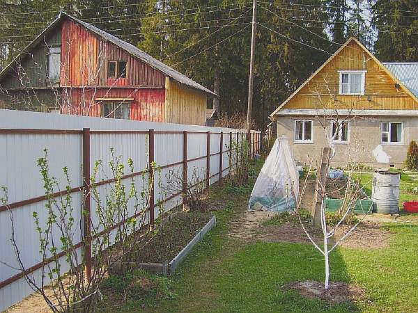 На даче