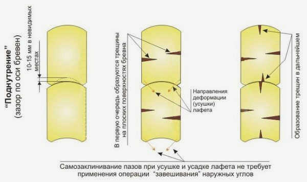 Особенности бревенчатых домов