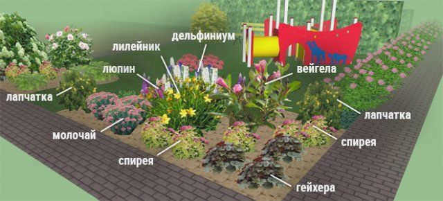Цветы для сада