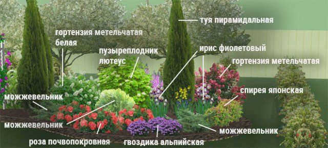 Цветочная композиция на треугольной клумбе