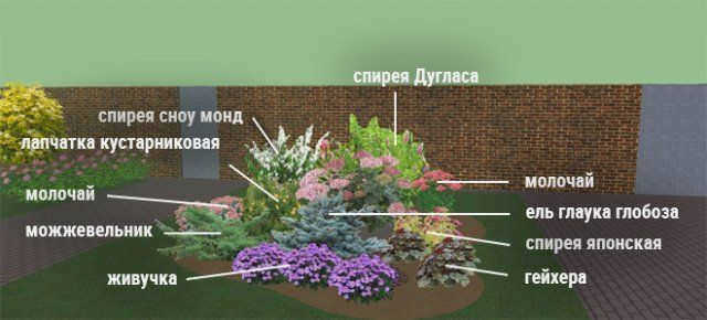 Круглая клумба с многолетниками