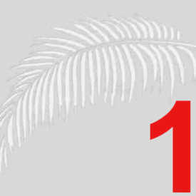 Главная страница