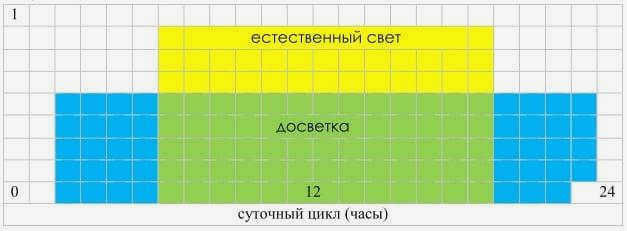 дополнительное освещение