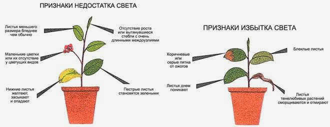 Различия в освещении
