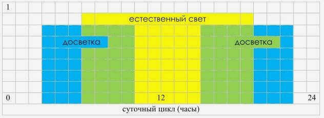 Свечение