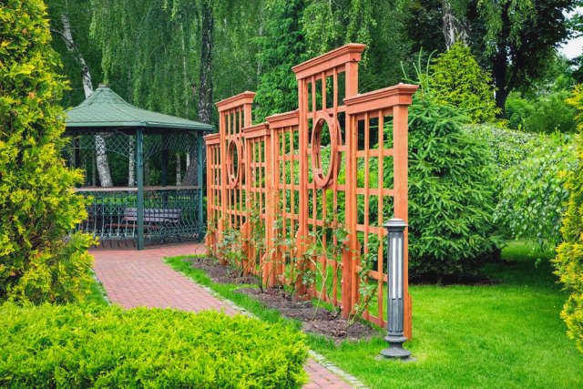 Пергола в саду, дизайн сада с перголой