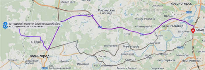 Звенигородский лес