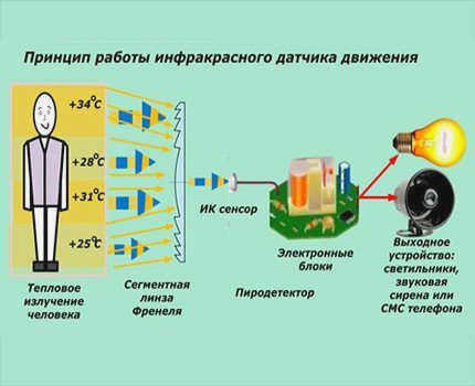 Принцип работы детектора движения