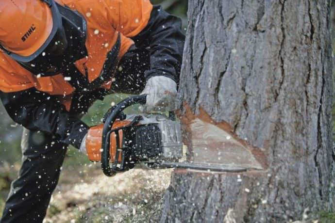 Валка дерева бензопилой намного быстрее и проще