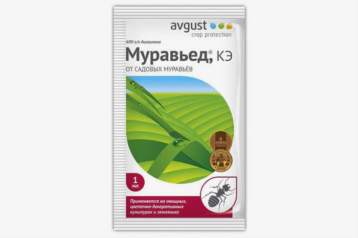 Пожиратель муравьев