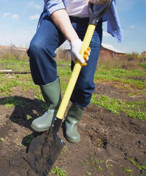 Держит инструмент за рукоятку