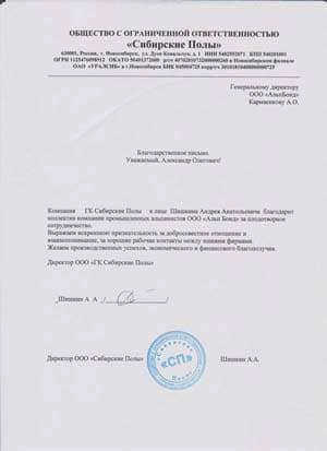 Сибирская энергетическая компания 