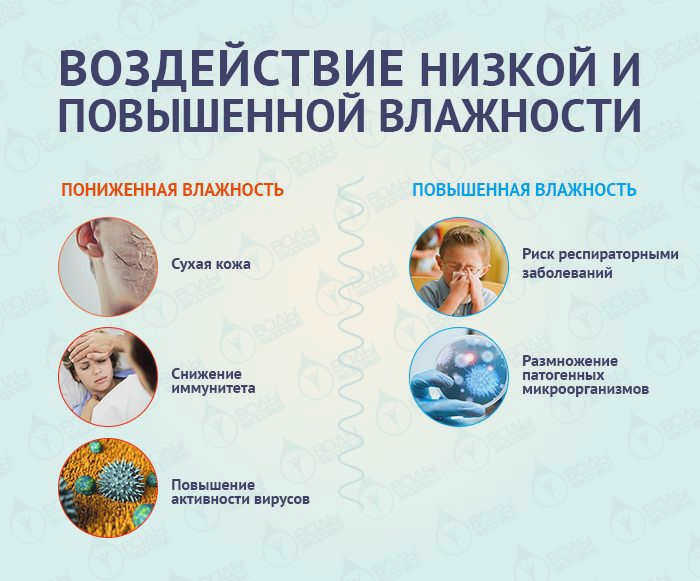 Чем опасен недостаточный уровень влажности?