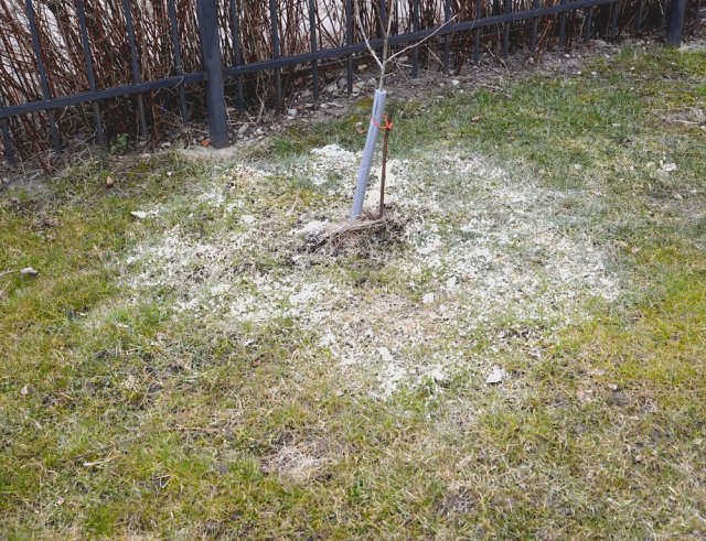 Подкисление почвы доломитом