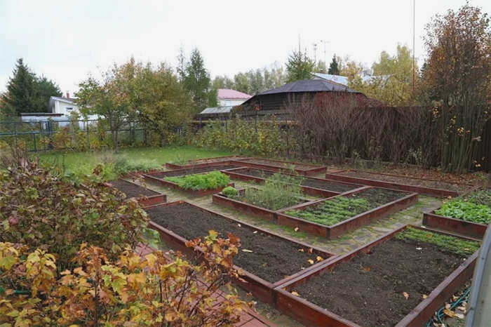 планирование сада на 6 акрах