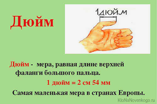 Единица измерения