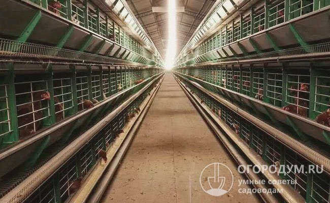 Основным преимуществом является низкое энергопотребление, что снижает затраты на электроэнергию