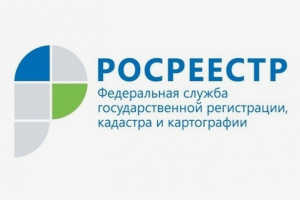 По кадастровому номеру