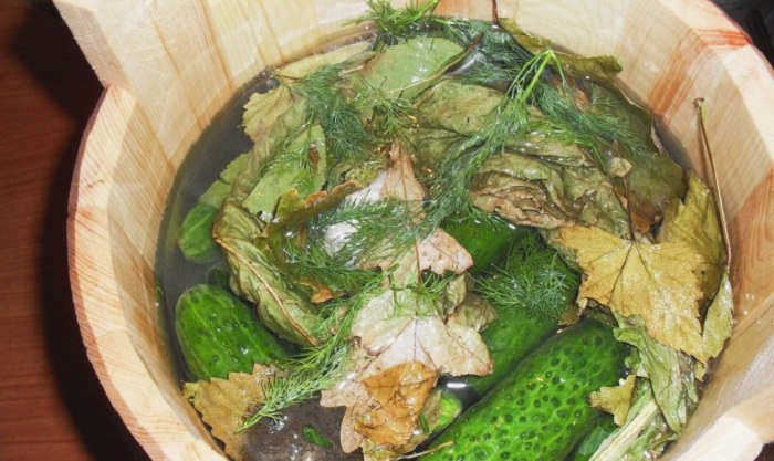 Огурцы в такой бочке очень вкусные.