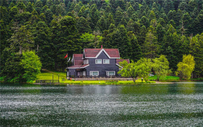 Фото: Akin Ozcanshutterstock