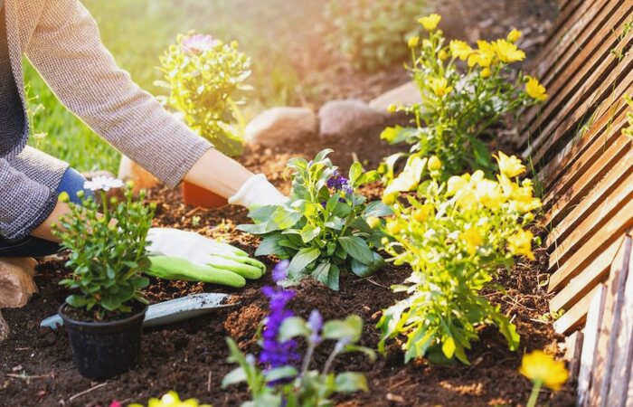 Как бороться с одуванчиками в саду: 7 эффективных способов