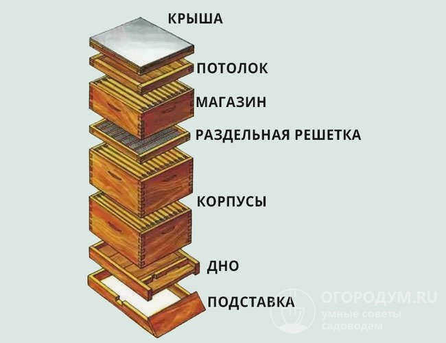 Готовый улей состоит из отдельных собранных частей