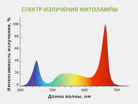 Спектр света фитолампы