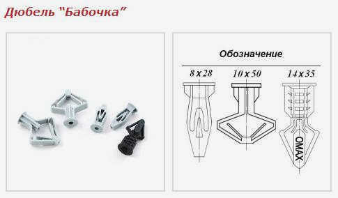 Ракушка