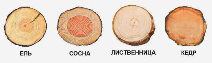 Хвойная древесина