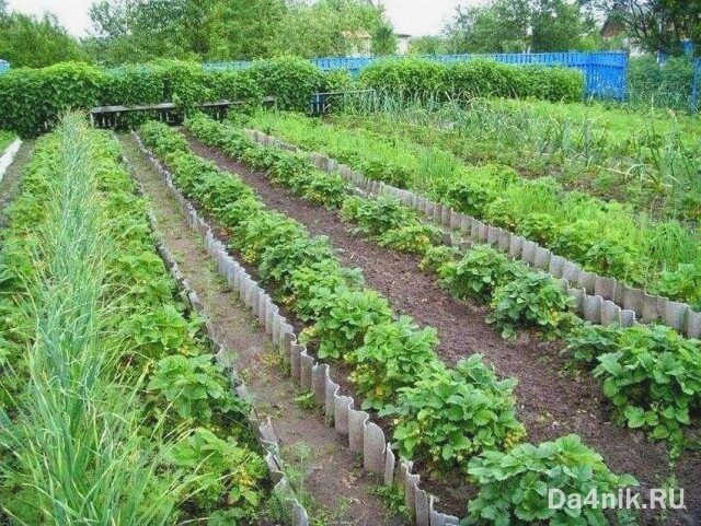 Резать шифер лучше алмазной пилой