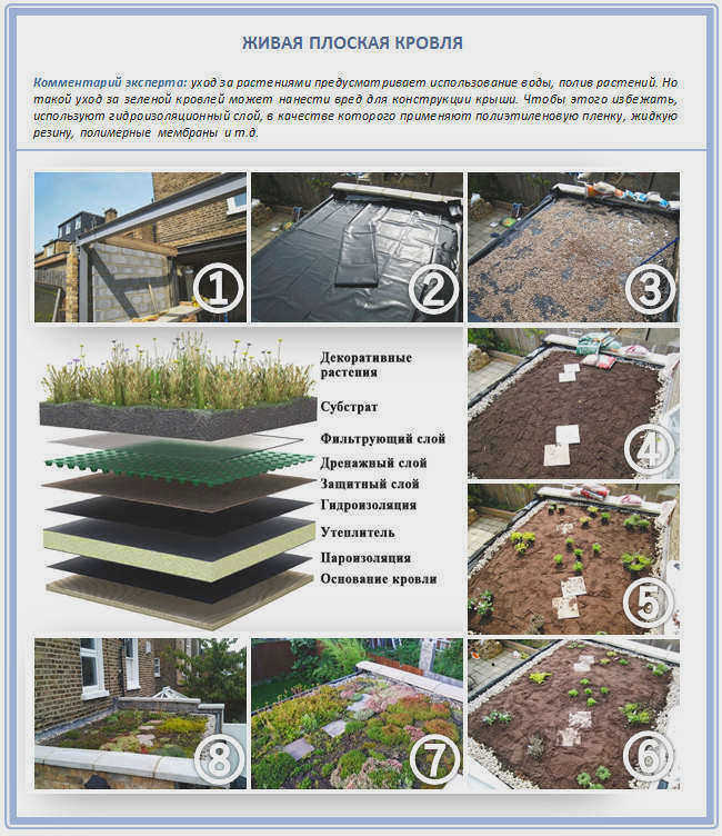Создание зеленой плоской крыши
