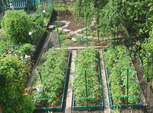 расположение огорода на участке