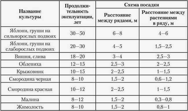 Принципы расположения