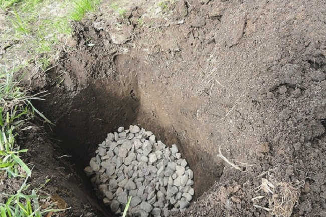 Клумбы возле дома