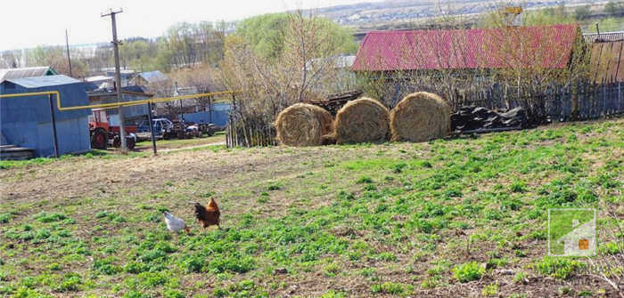Частное фермерское хозяйство. Плюсы и минусы частных сельскохозяйственных земель.
