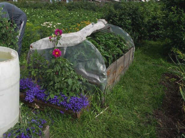 Комбинированная теплица